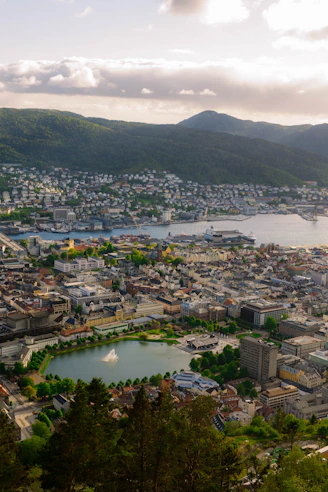 aerial view of city buildings near body of water during daytime