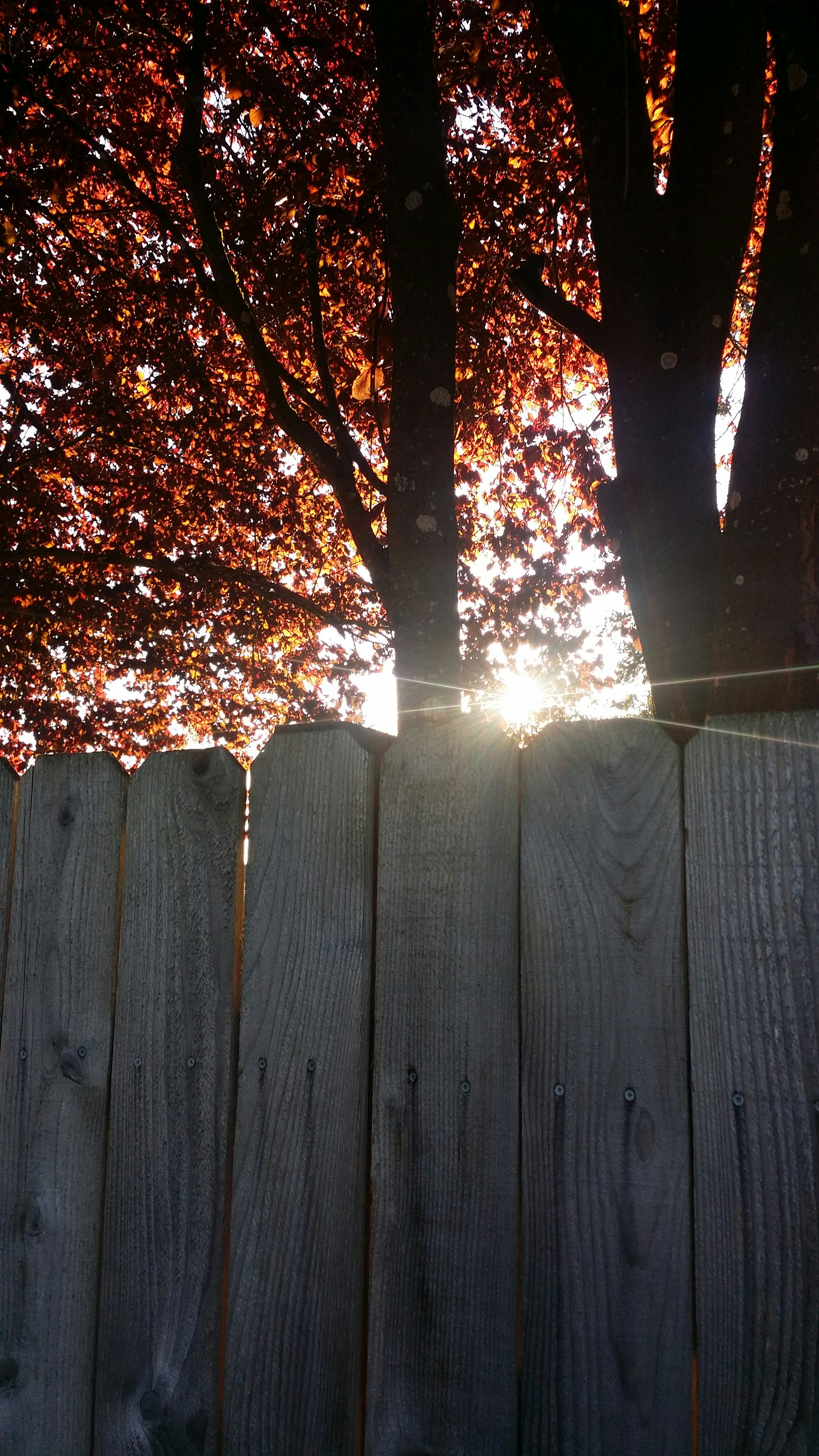 Photo by photo_credits101