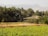 A rustic hut is surrounded by lush green fields and dense groves of palm trees, with a backdrop of distant mountains under a clear sky.