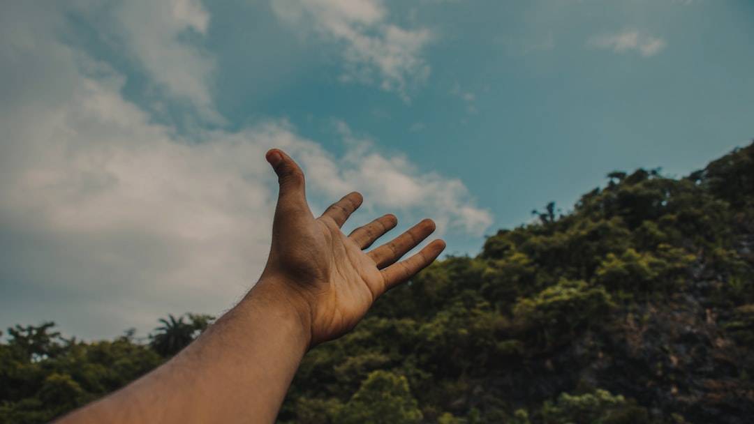 persons left hand under blue sky during daytime