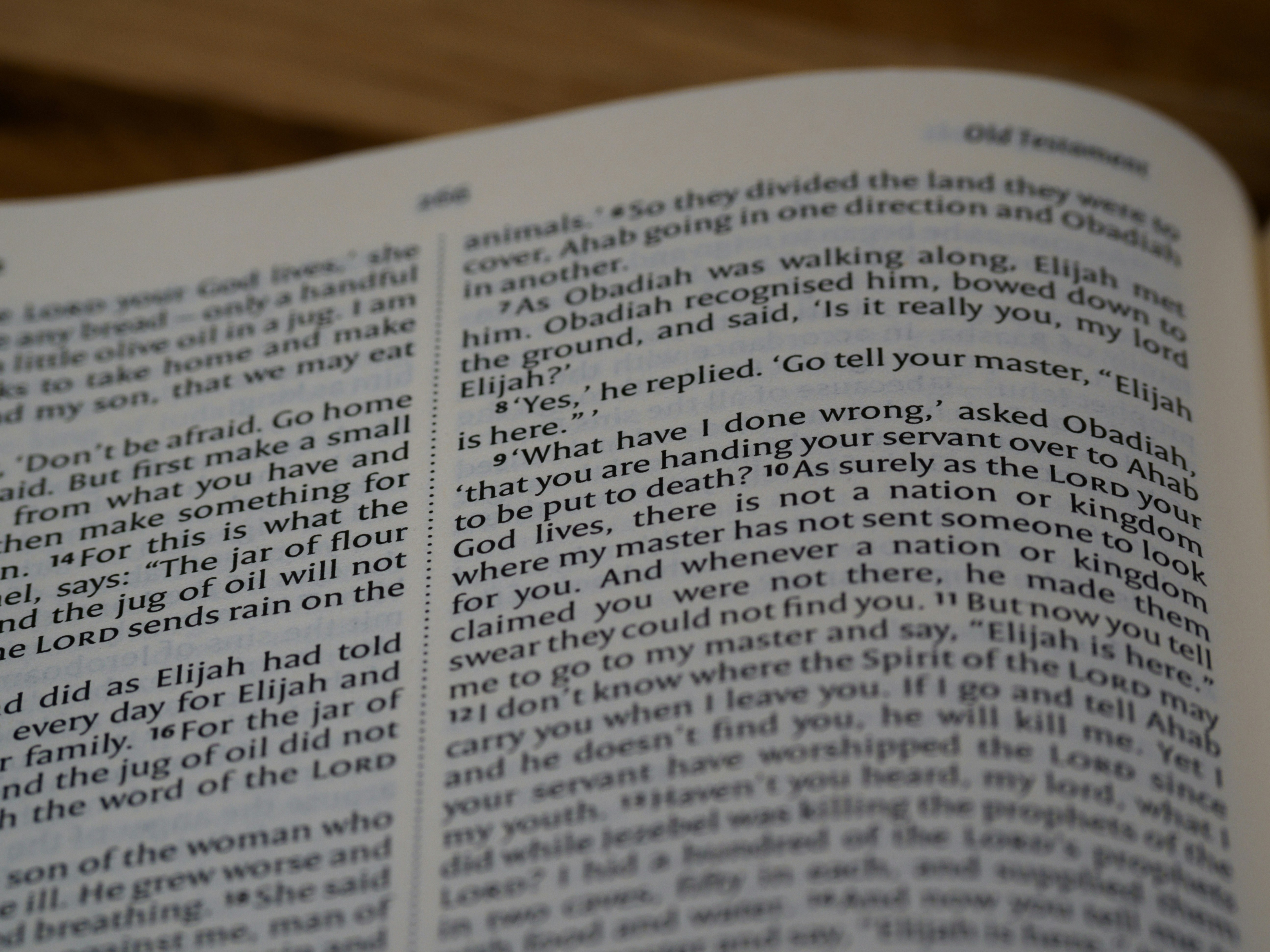 Photo by brett_jordan