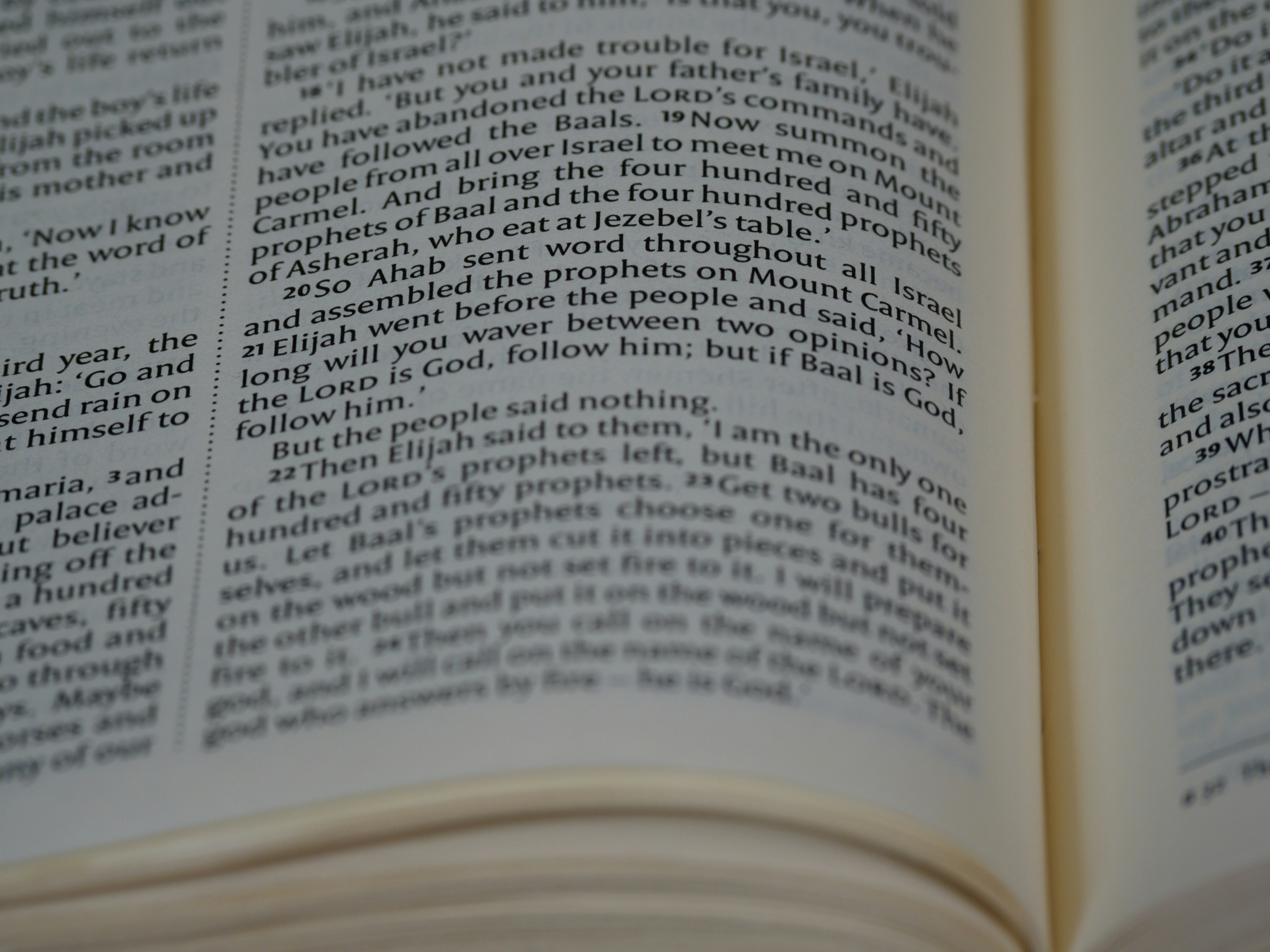 Photo by brett_jordan