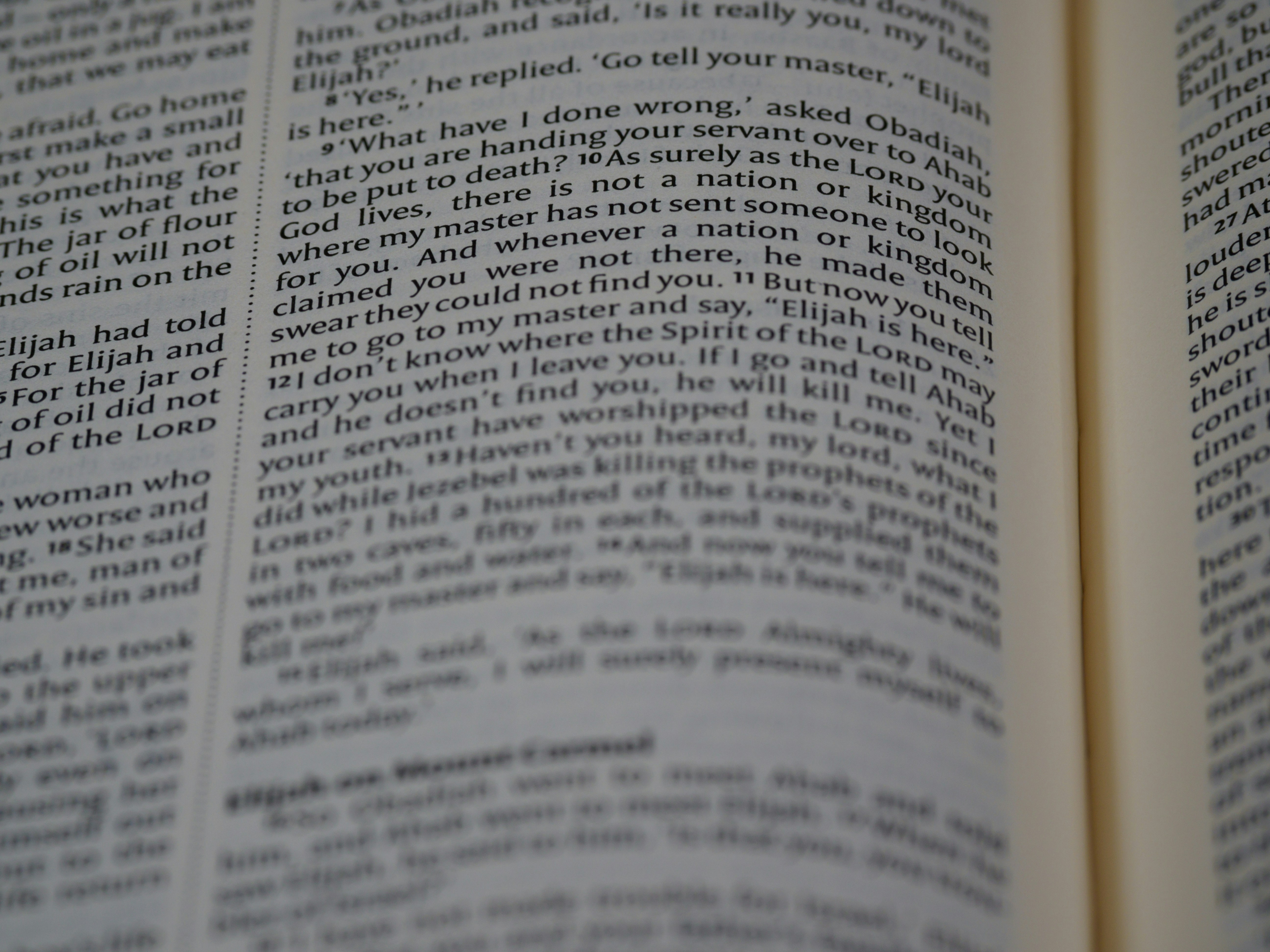 Photo by brett_jordan