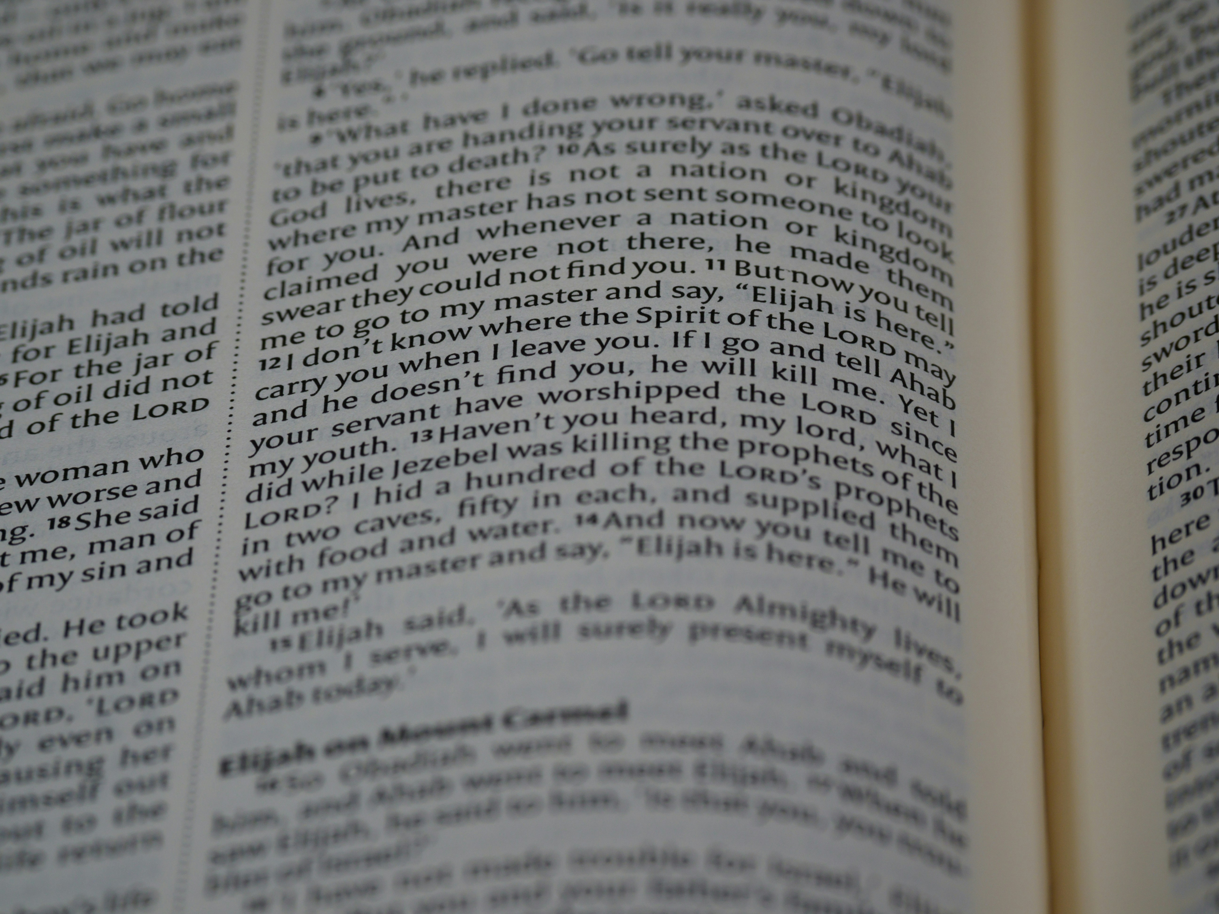 Photo by brett_jordan