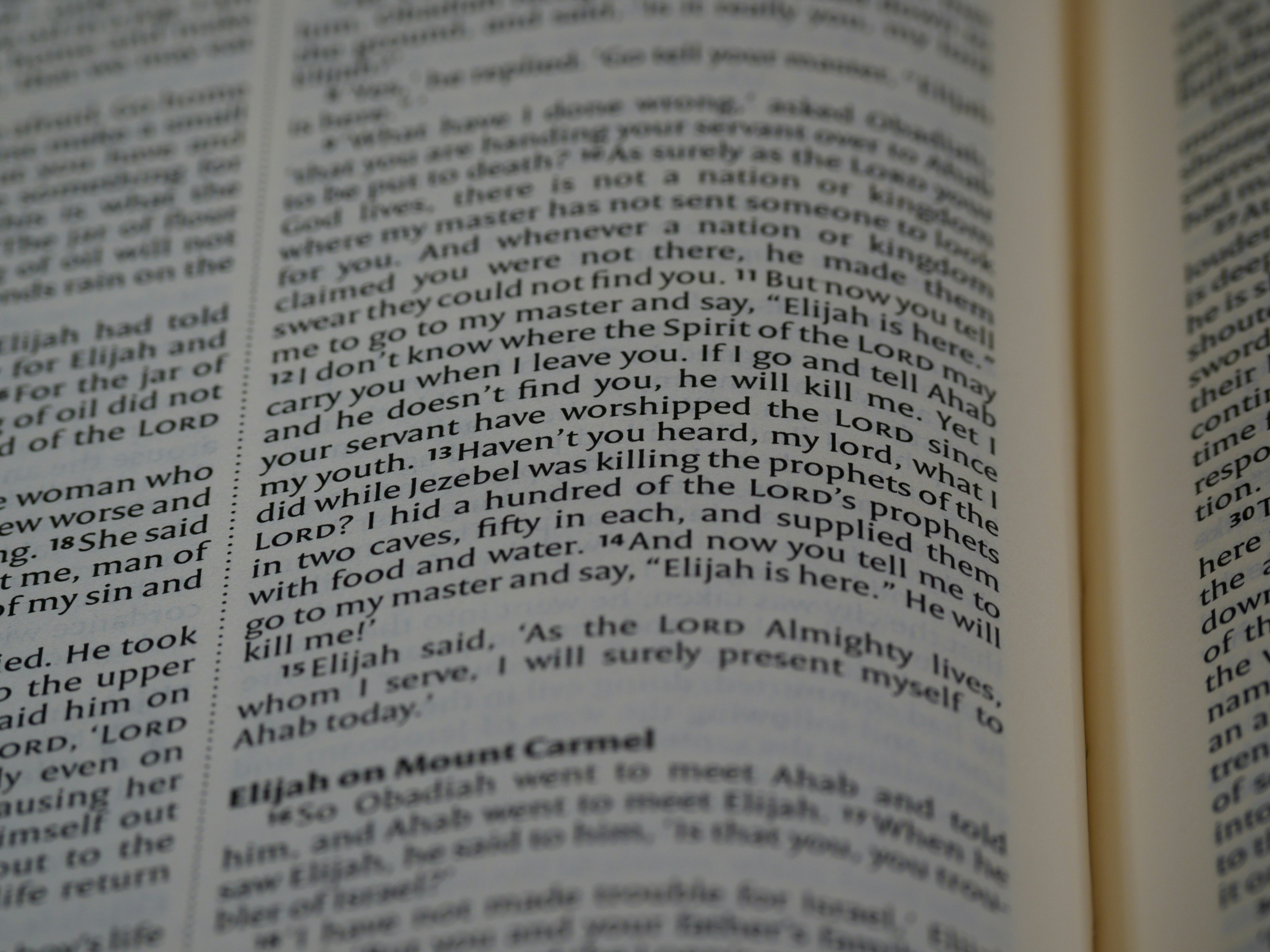 Photo by brett_jordan