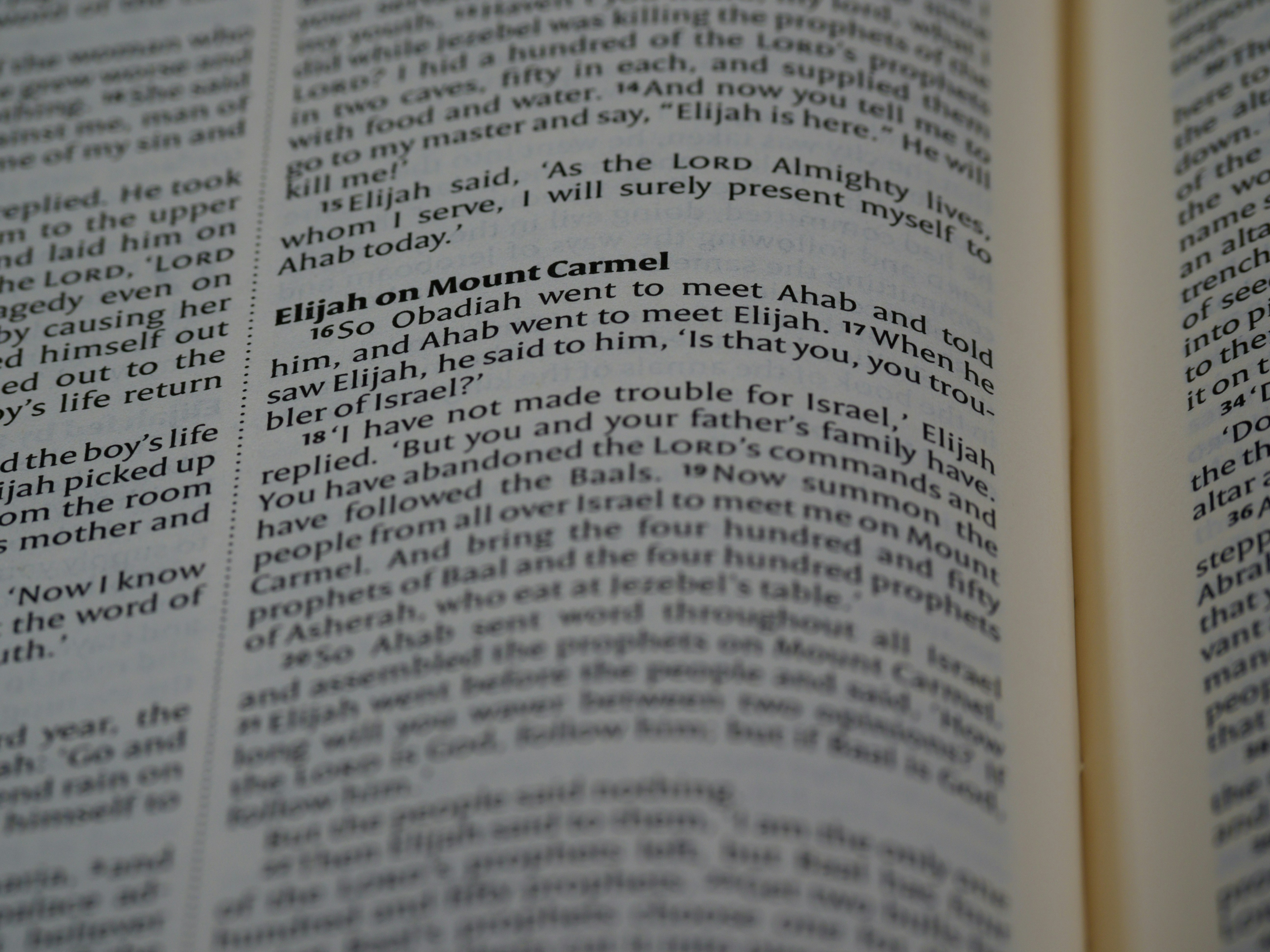 Photo by brett_jordan