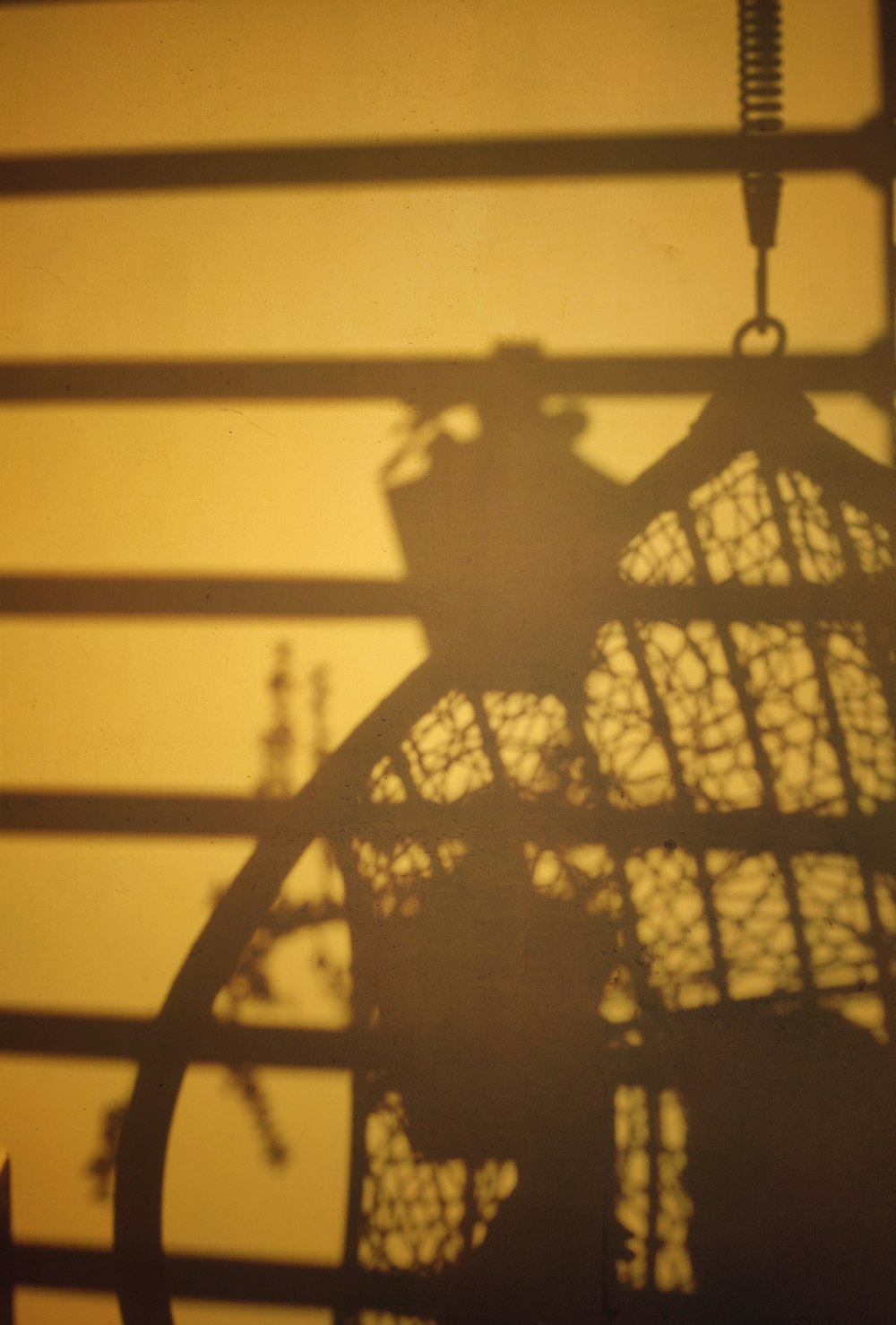 a shadow of a bird in a cage