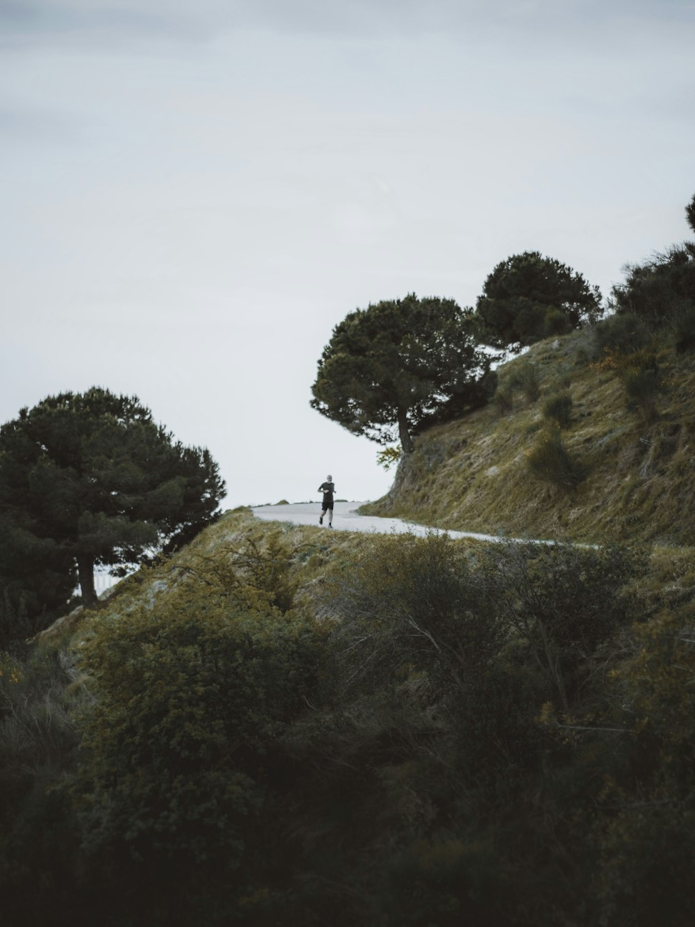 person standing on top of hill during daytime