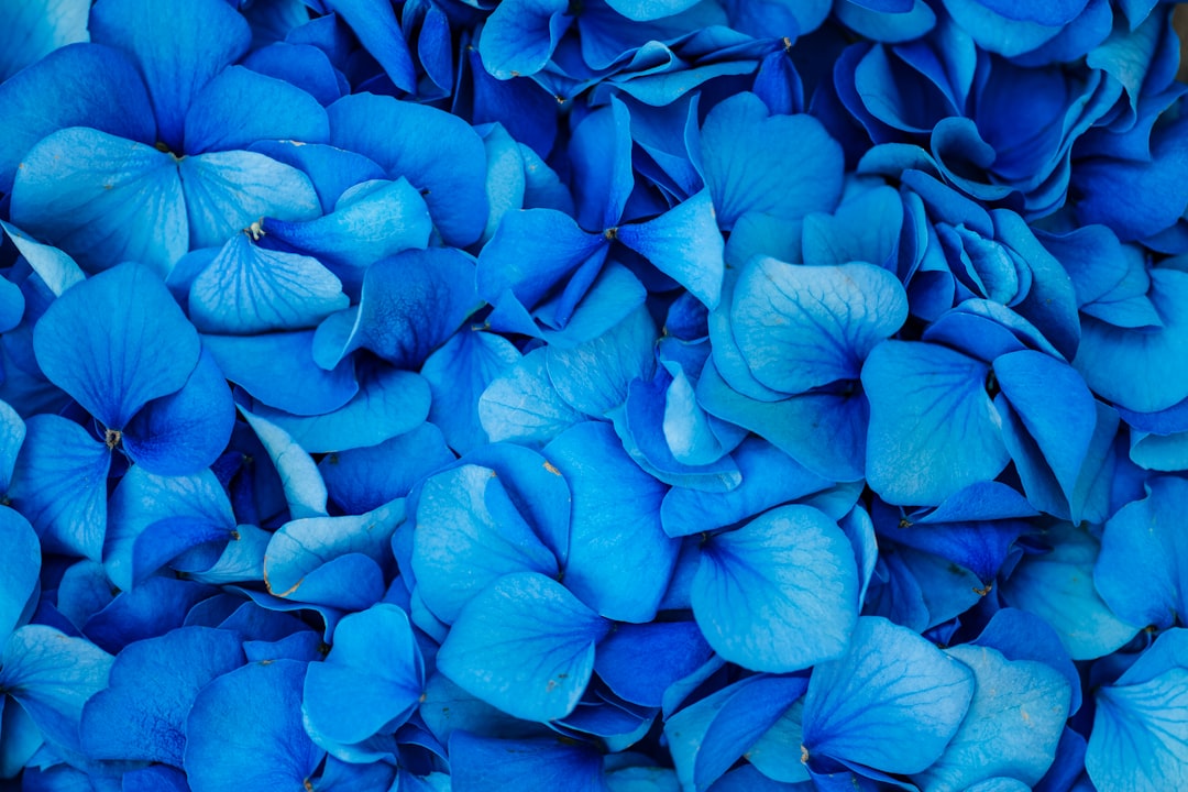 blue flowers with green leaves