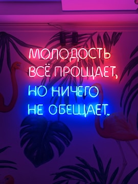 Neon signage in Russian text emits pink and blue light on an indoor wall with painted tropical leaves and flamingos.