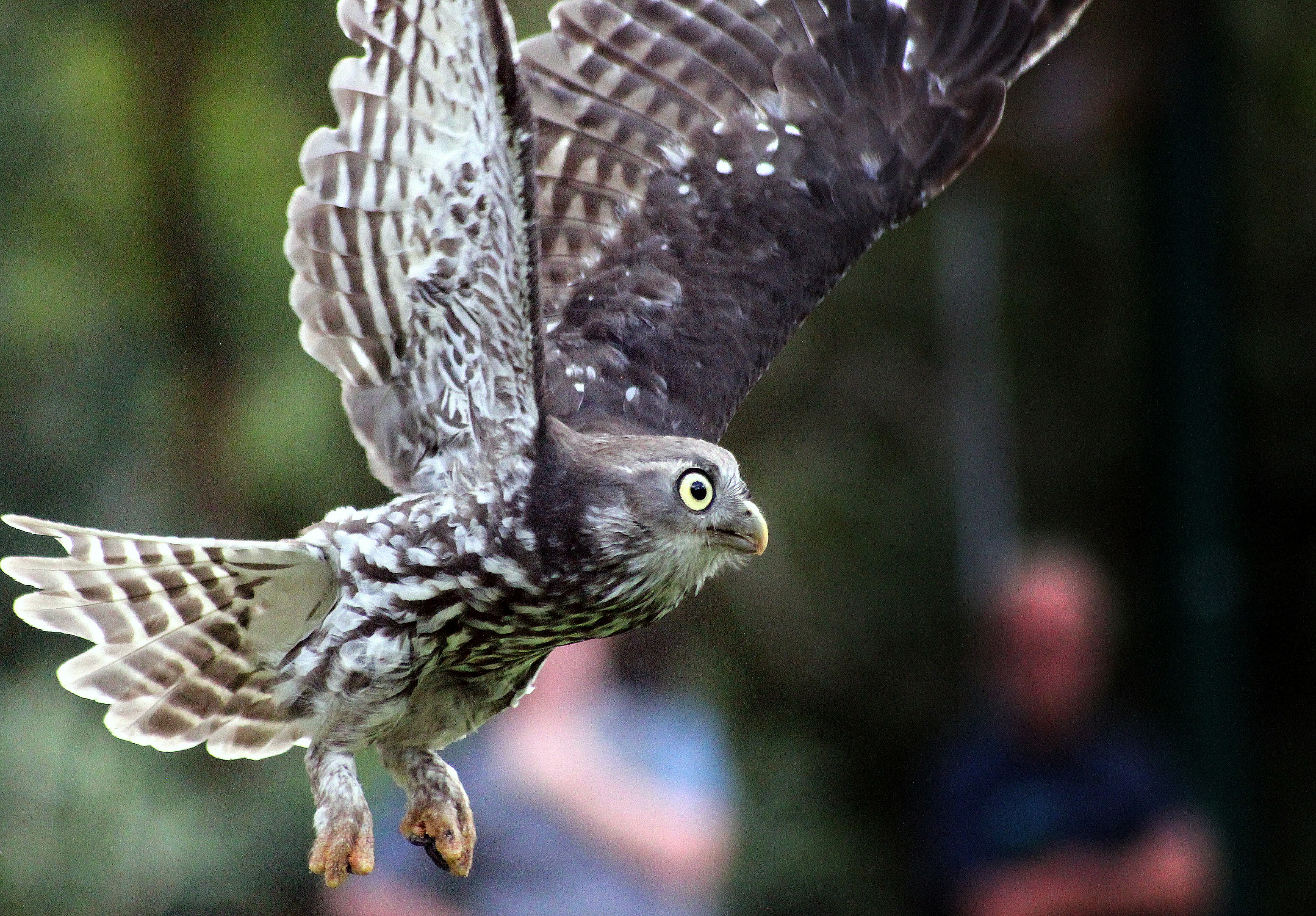 Photo by craigmanners_com