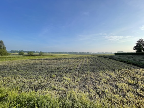 A farmer inspecting his field with fresh soil and growing crops under a clear blue sky.