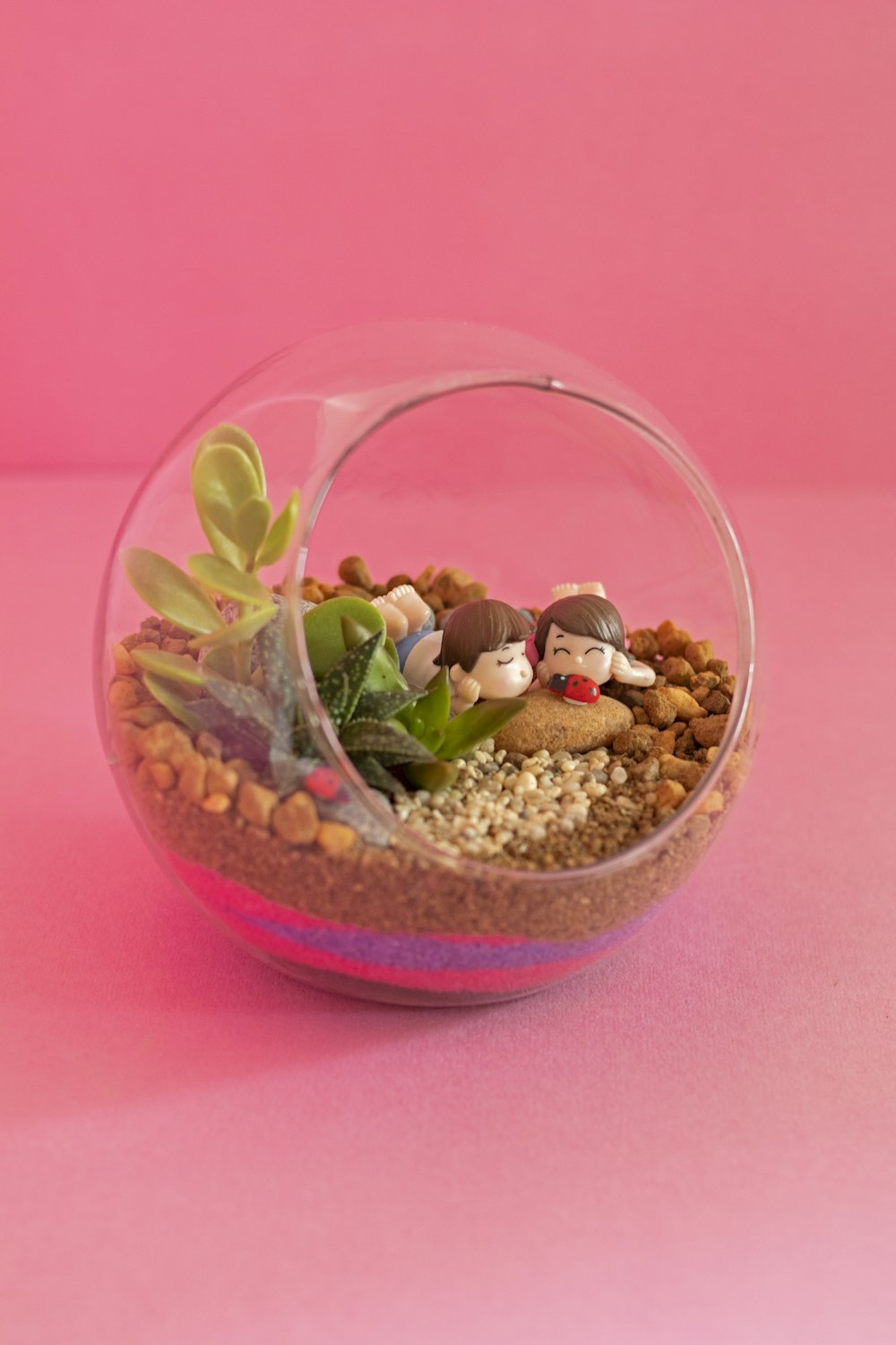 a glass bowl filled with plants and rocks