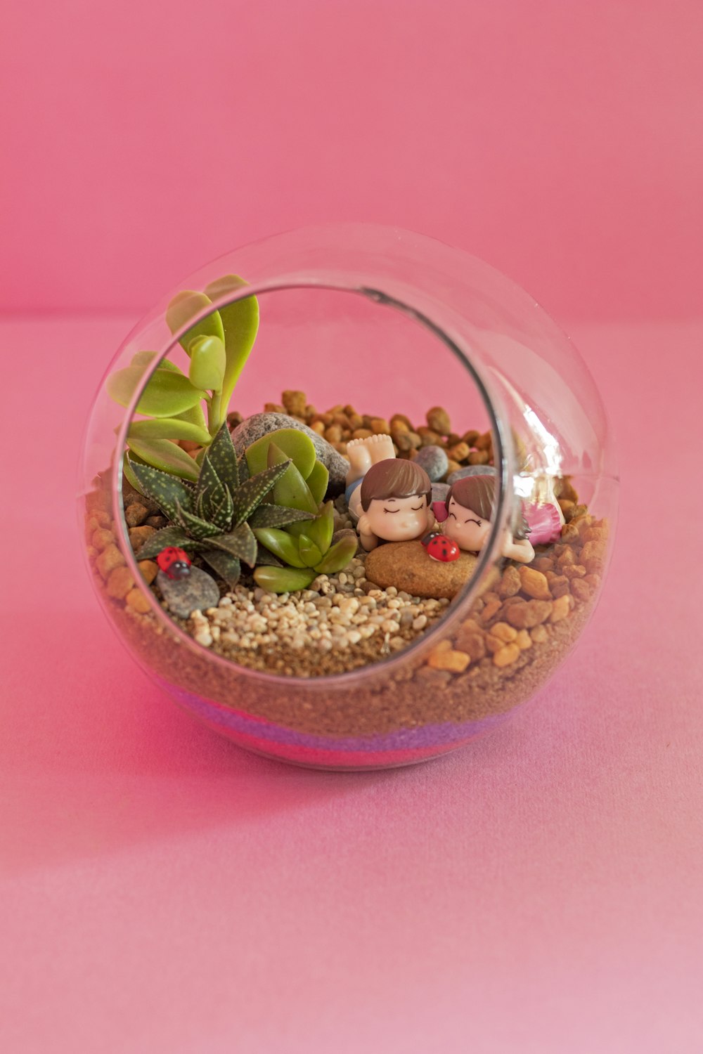 a glass bowl filled with plants and rocks