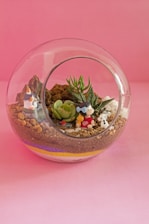 Close-up of a lush, custom-made terrarium with moss, succulents, and tiny figurines.
