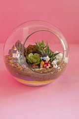 A round glass terrarium with layered soil, colorful pebbles, and tiny blooming plants.