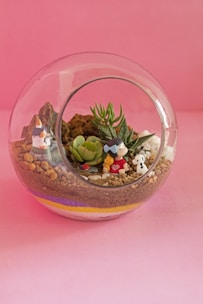 A round glass terrarium with layered soil, colorful pebbles, and tiny blooming plants.