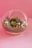 A glass terrarium with a succulent garden arrangement. Inside, there are small, colorful plants, pebbles, and miniature figurines, including a cartoon character and a little dog. The background is a soft pink color, enhancing the whimsical and cheerful nature of the setup.