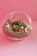 A glass terrarium with a succulent garden arrangement. Inside, there are small, colorful plants, pebbles, and miniature figurines, including a cartoon character and a little dog. The background is a soft pink color, enhancing the whimsical and cheerful nature of the setup.