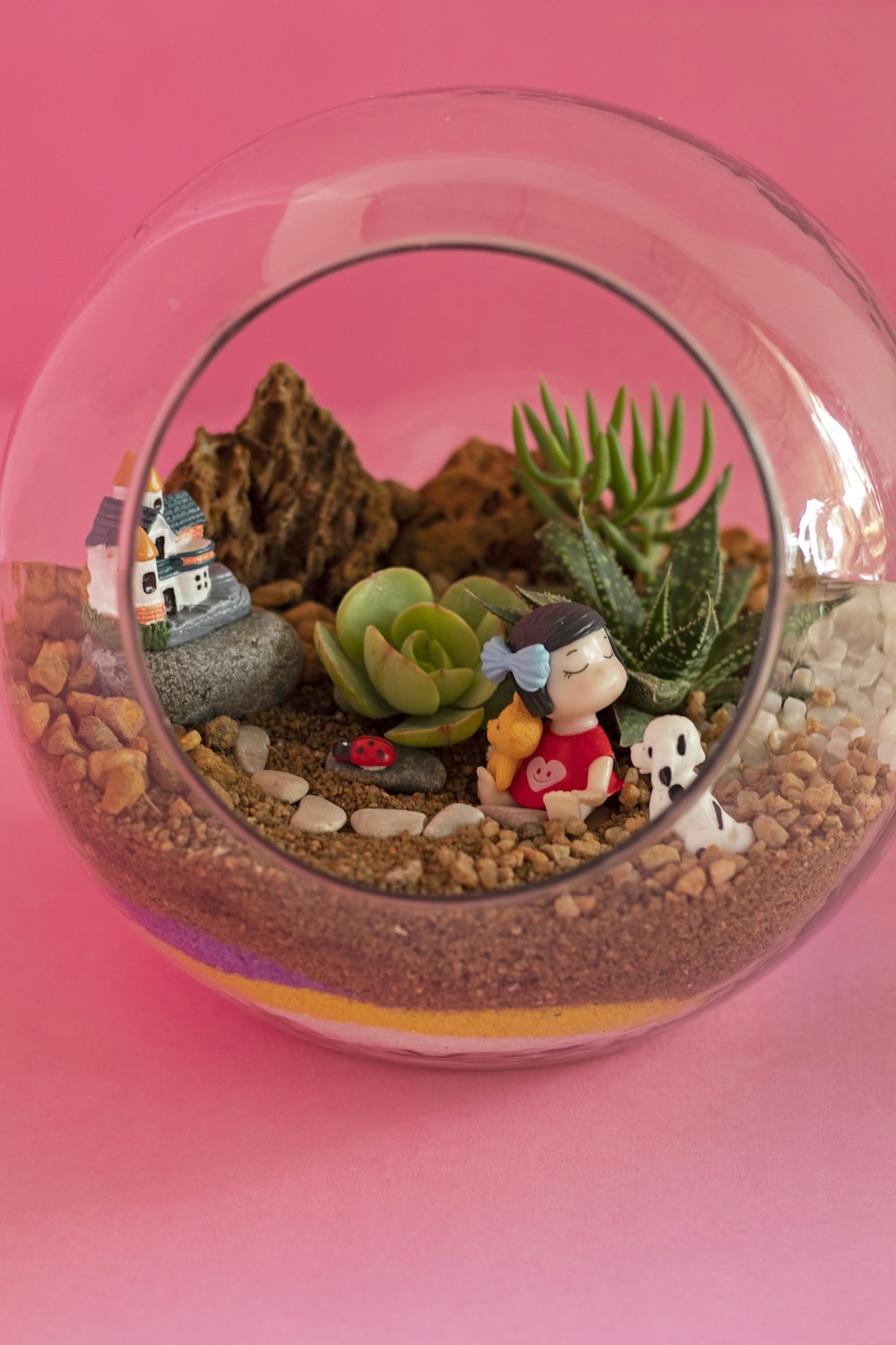 a glass bowl filled with plants and rocks