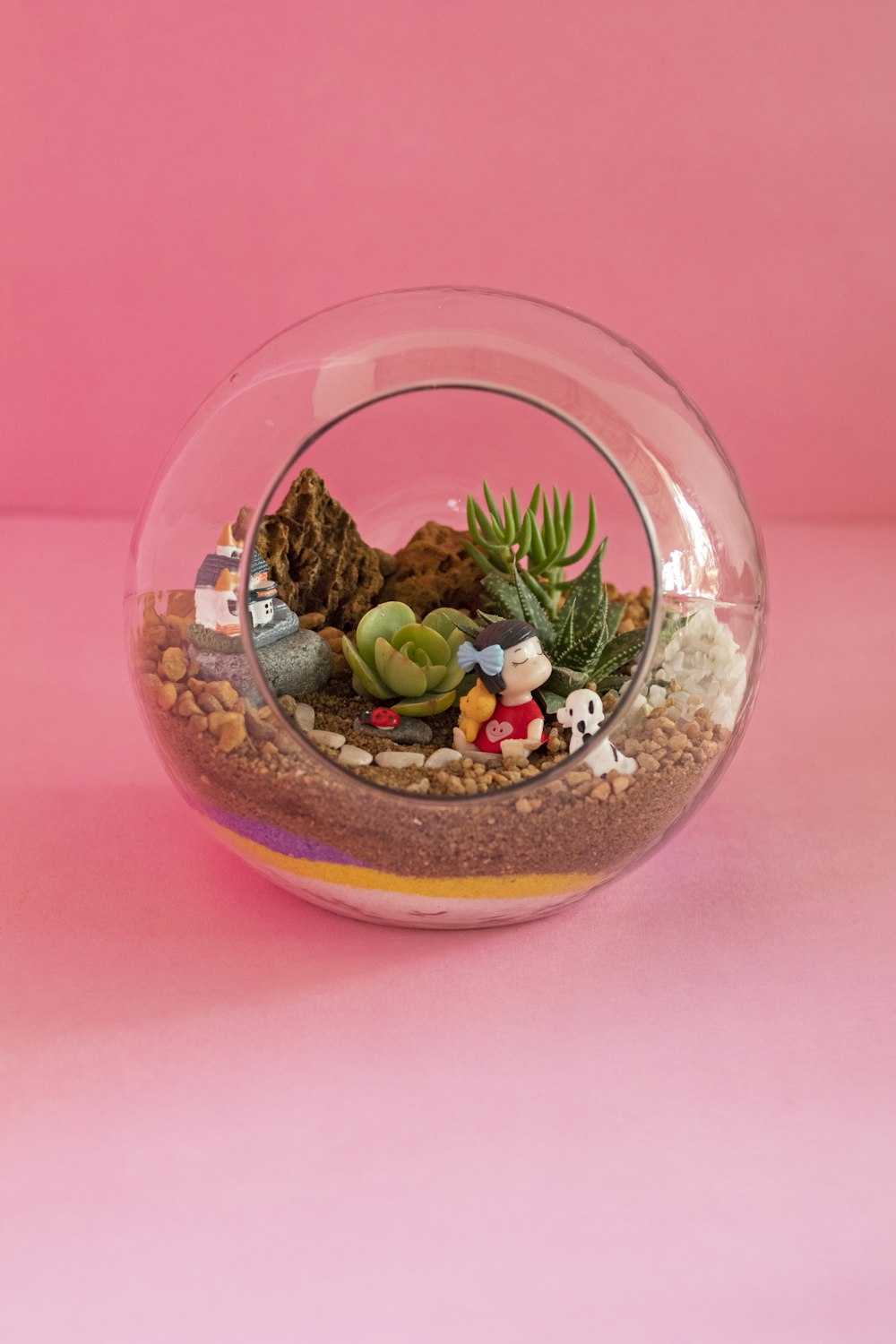 a glass bowl filled with plants and rocks