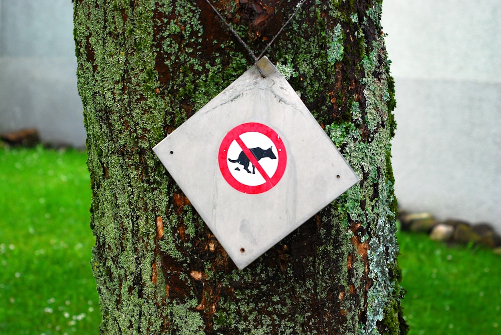 a sign is hanging on a tree in the grass