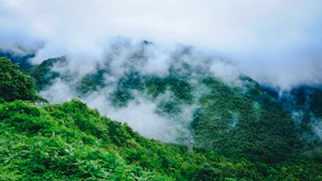 Misty mornings cloaking Kashmir's verdant valleys and snow-capped peaks in a serene glow