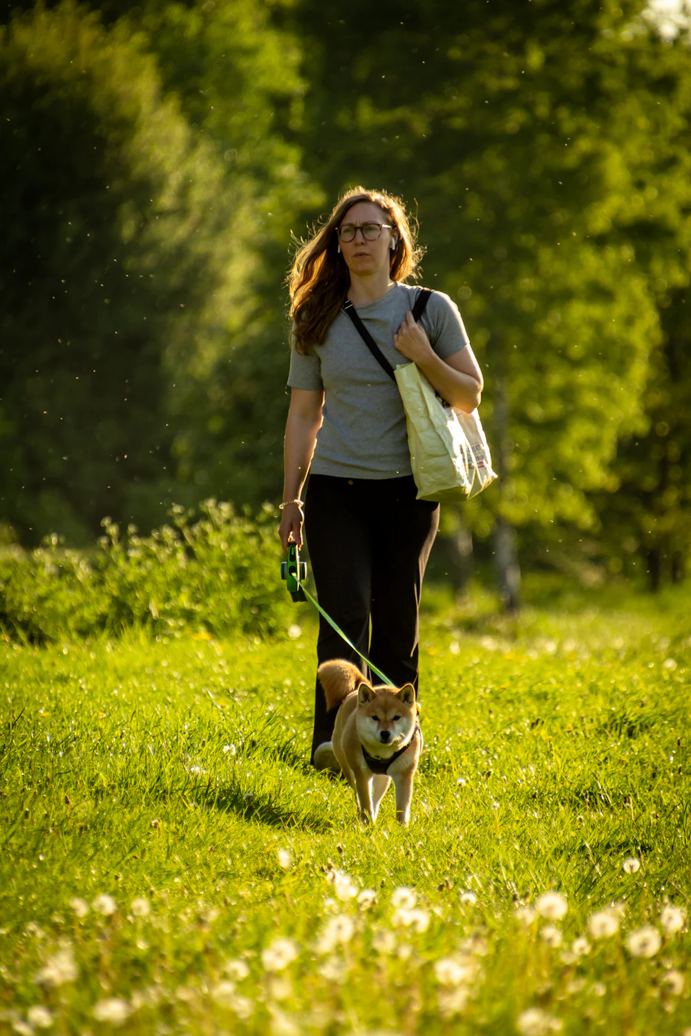 Donna che passeggia nel parco con il suo cane accanto, guinzaglio lento