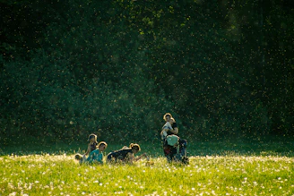 A soft, sunlit gathering of diverse people smiling and sharing in a peaceful outdoor circle surrounded by blooming flowers.