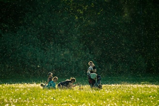 Warm, sunlit circle of friends sharing a quiet moment outdoors among soft greenery.