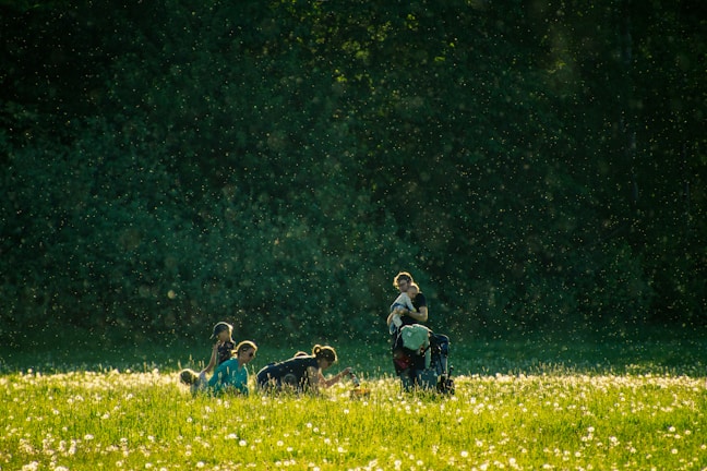 A serene outdoor gathering with people connecting under soft sunlight