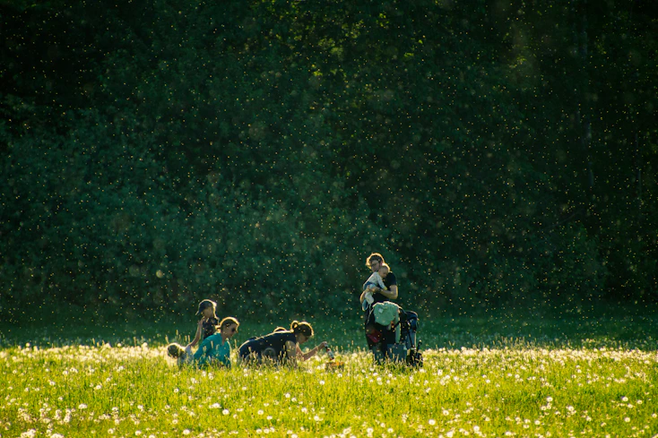 A soft, sunlit gathering of diverse people smiling and sharing in a peaceful outdoor circle surrounded by blooming flowers.