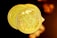Two shiny gold-colored coins with the Bitcoin emblem are prominently featured, each displaying intricate details and text related to the cryptocurrency. The background has a soft, warm glow with blurred, circular bokeh effects, enhancing the image's focus on the coins.