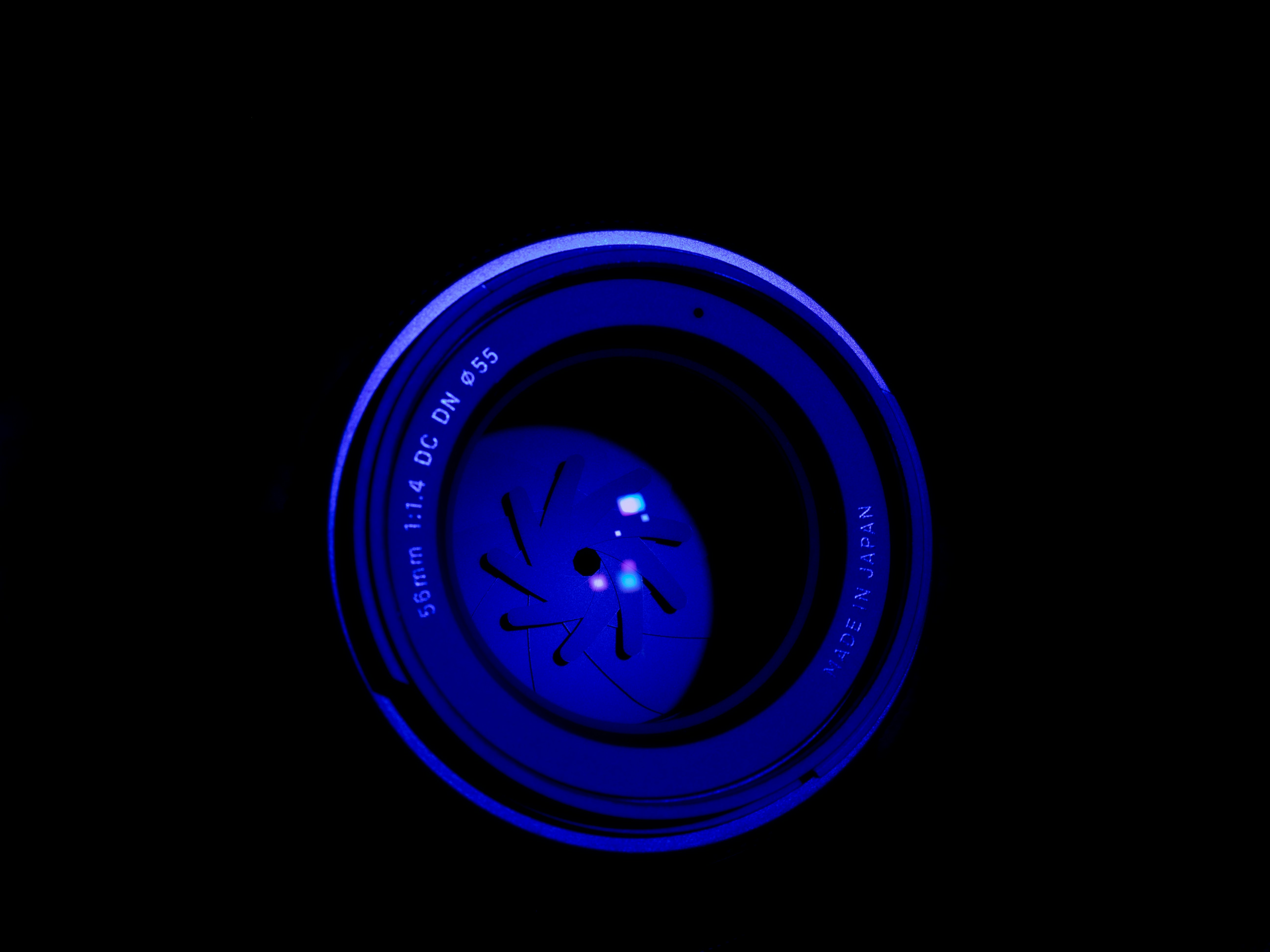 Photo by michael_marais