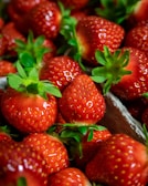 Close-up of ripe strawberries glistening with morning dew.