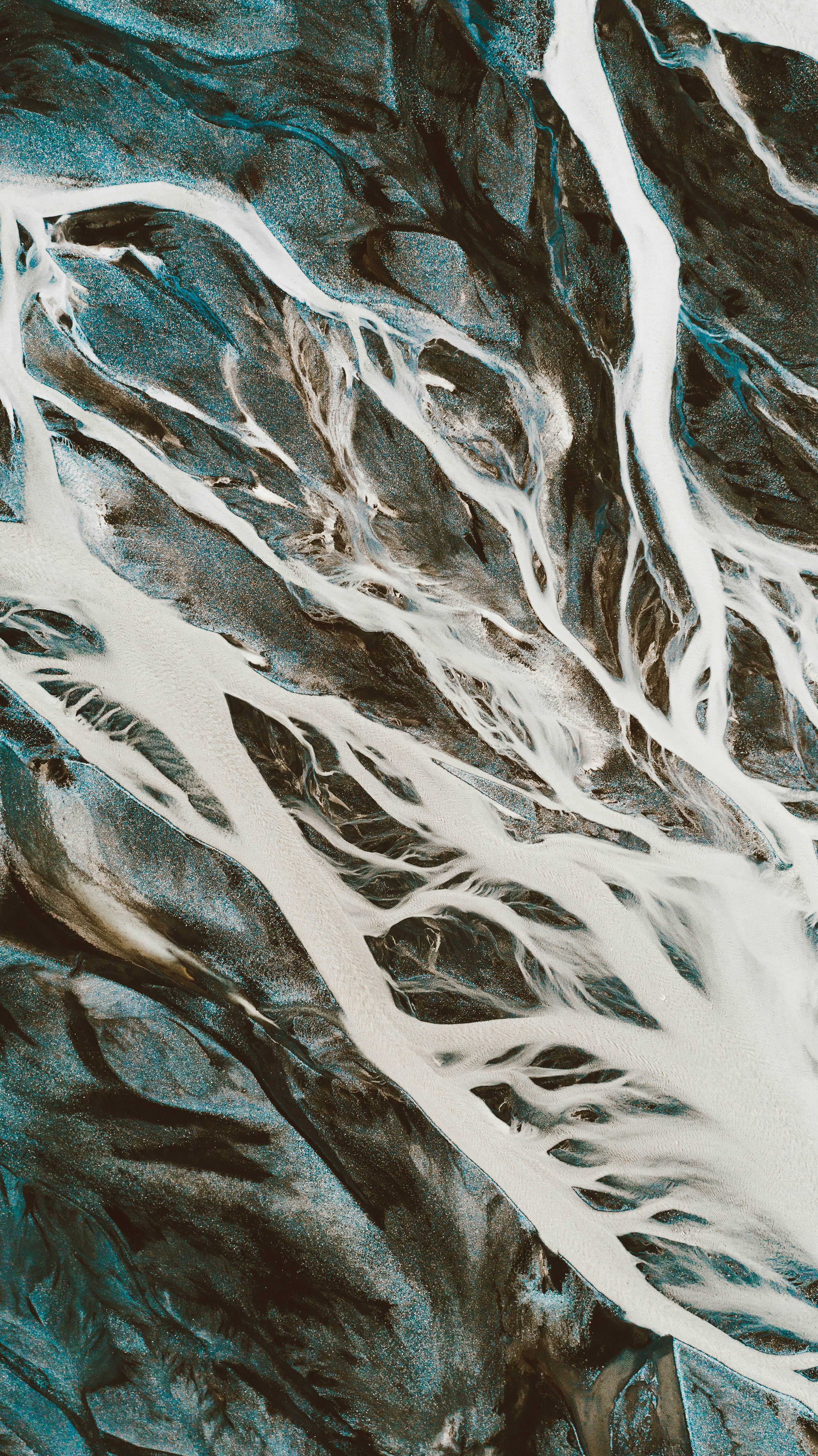 Photo by brunovdkraan