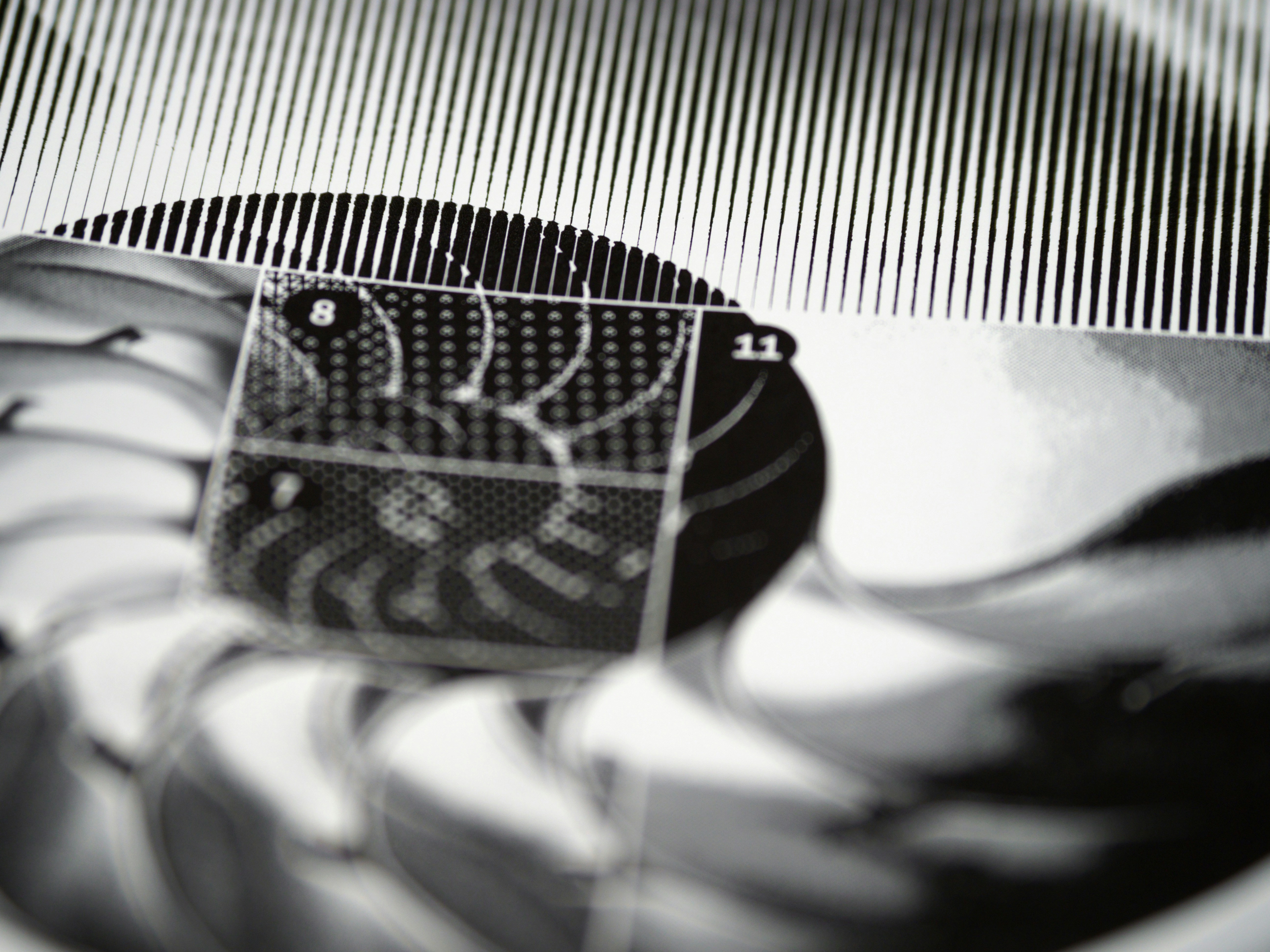 Photo by brett_jordan