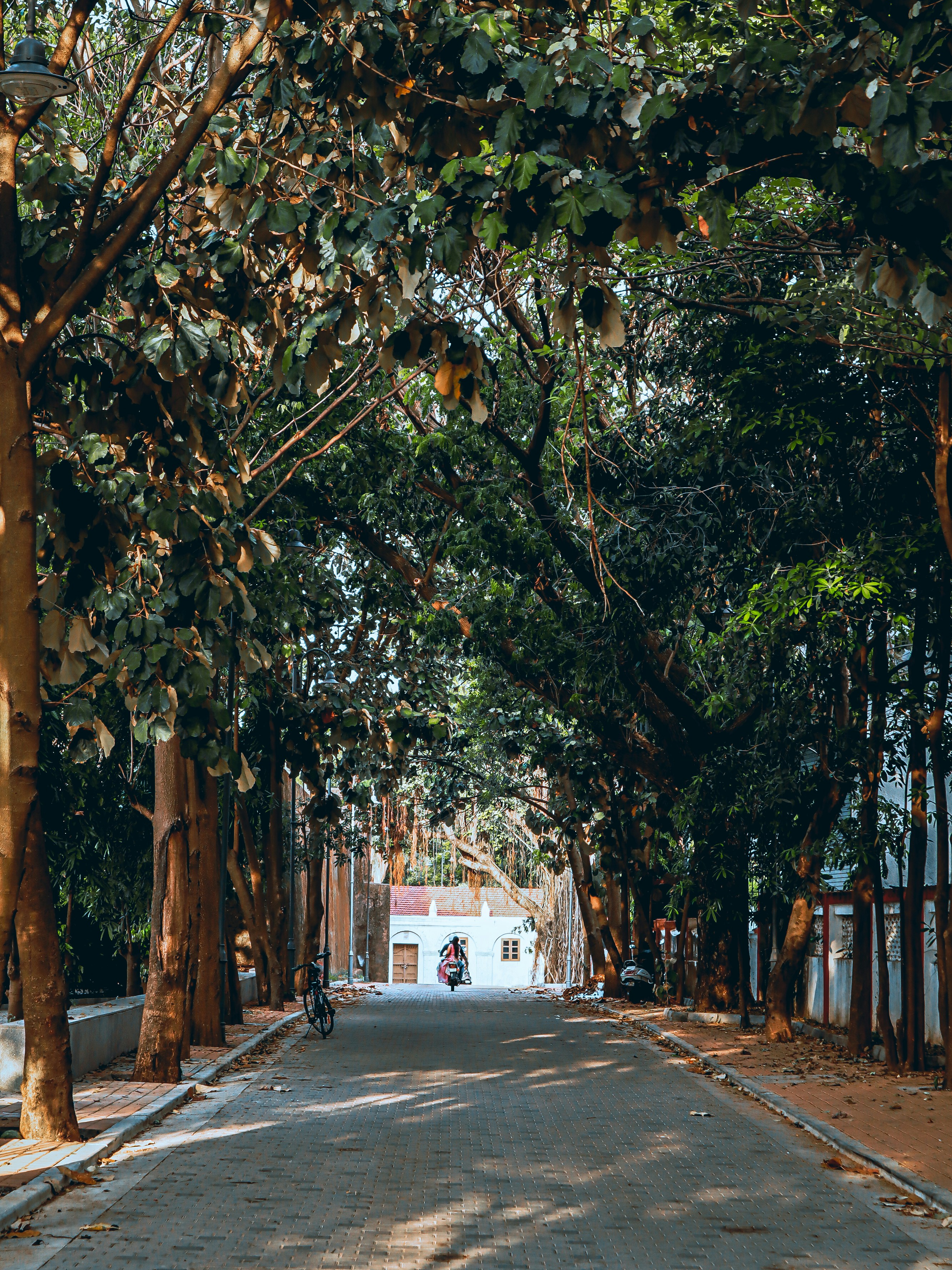 Photo by vedangtandel