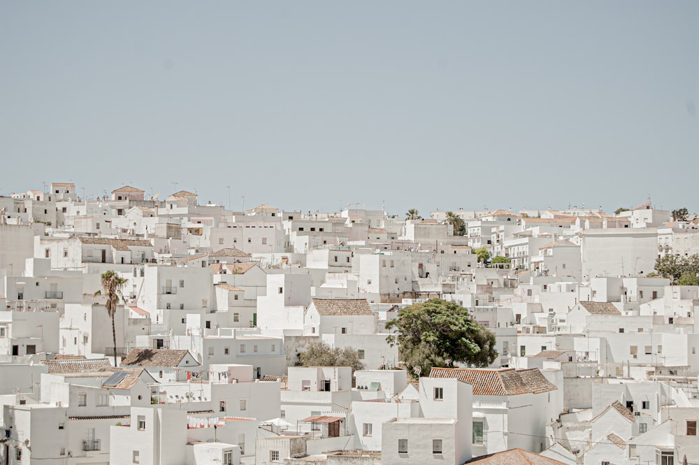 uma vista de uma cidade com muitos edifícios brancos