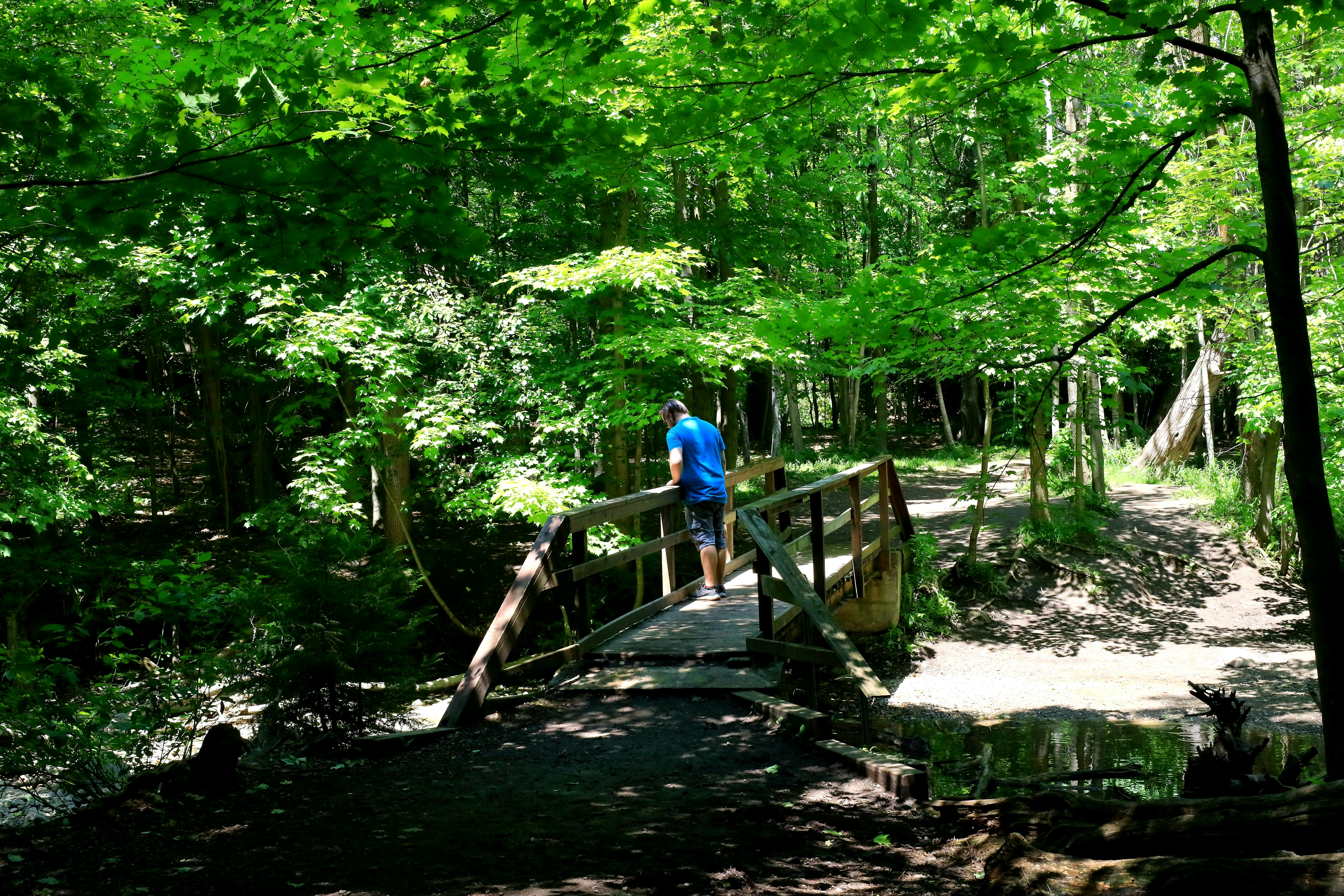 Photo by richardworks