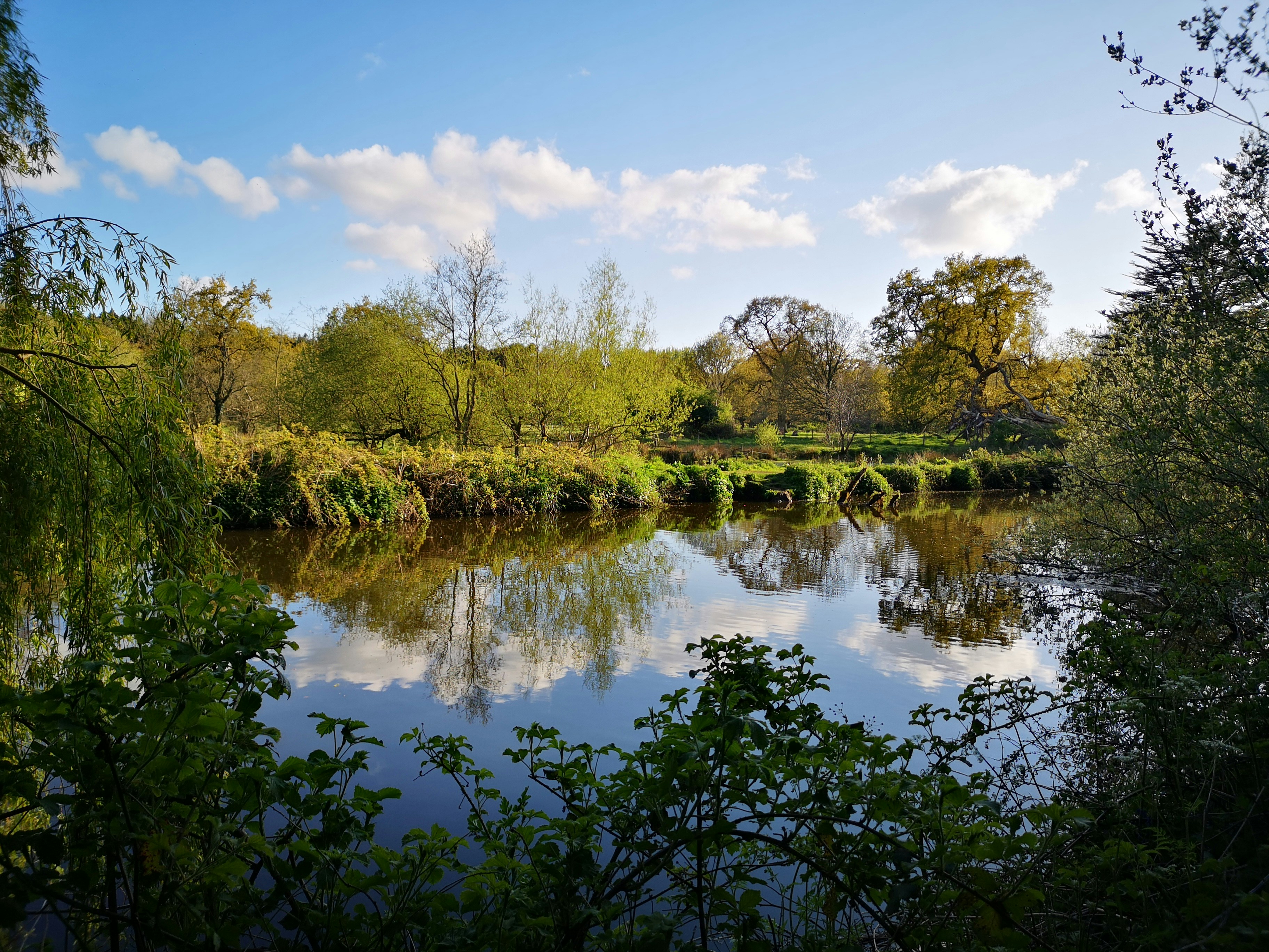 Photo by kerrynicholson