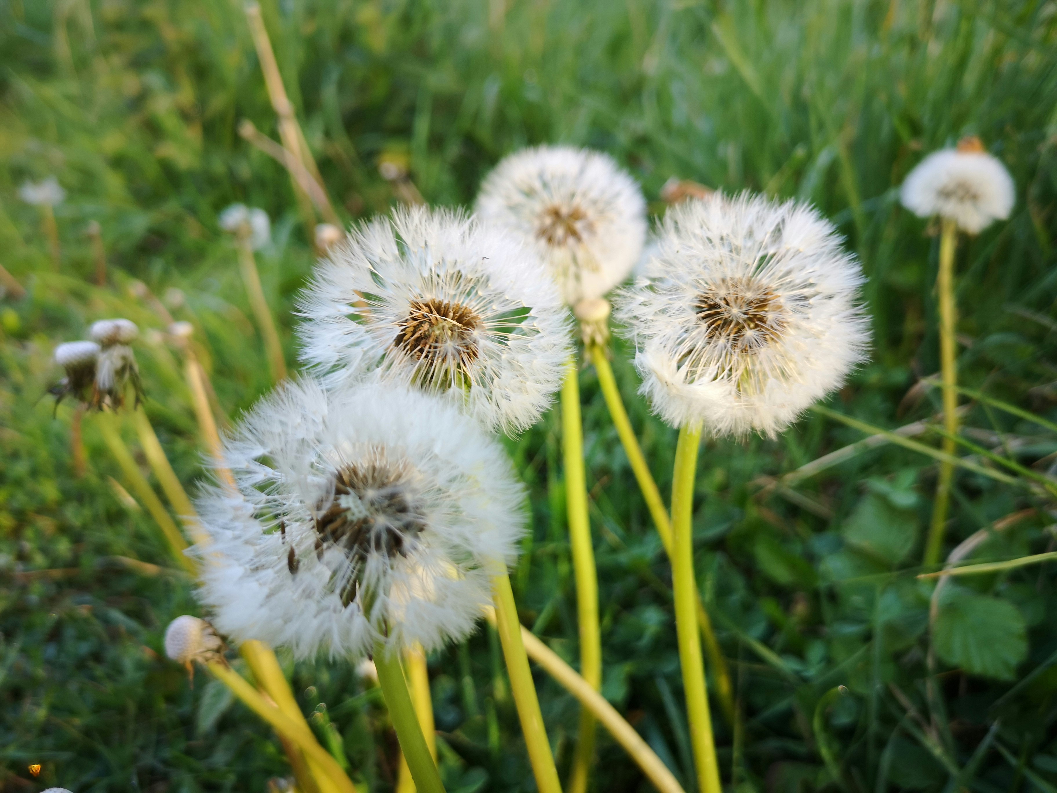 Photo by kerrynicholson