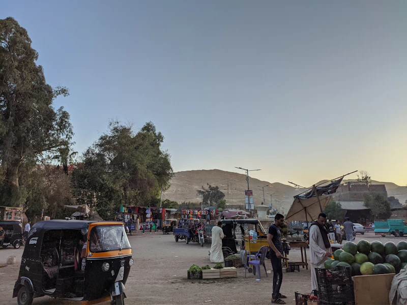 Best Street Food in Siwa Oasis: What to Eat and Where to Find It