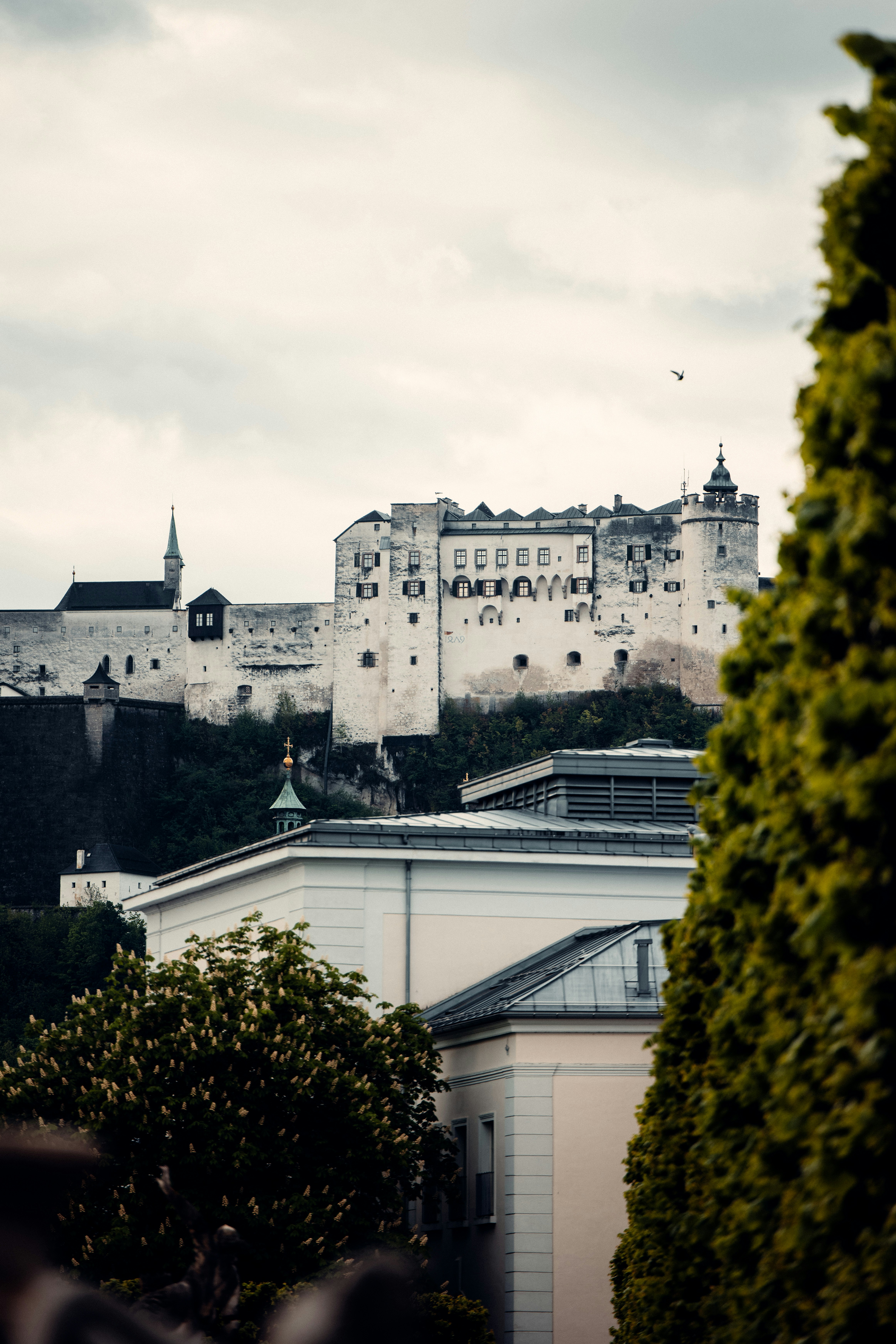 Photo by patresinger