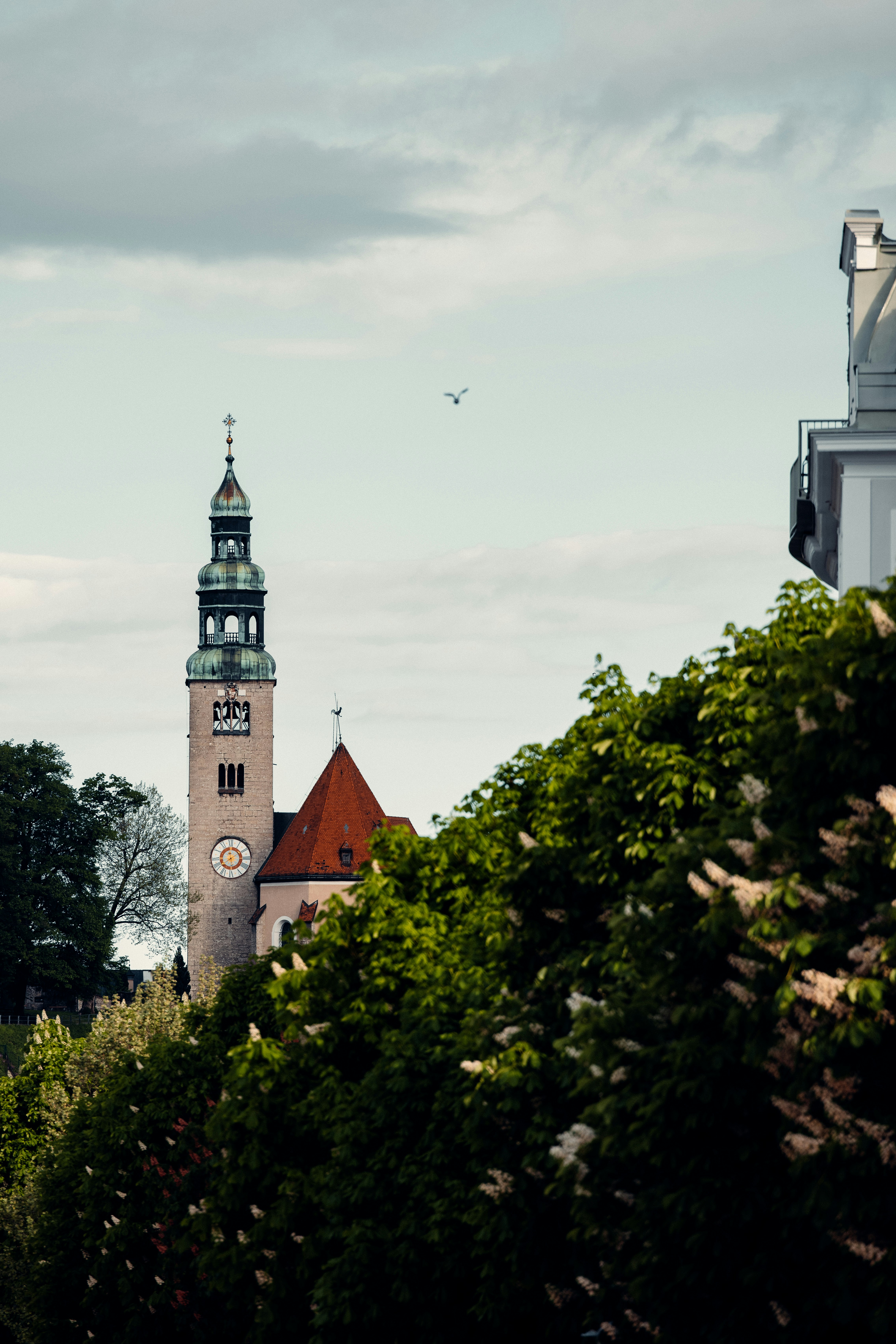 Photo by patresinger