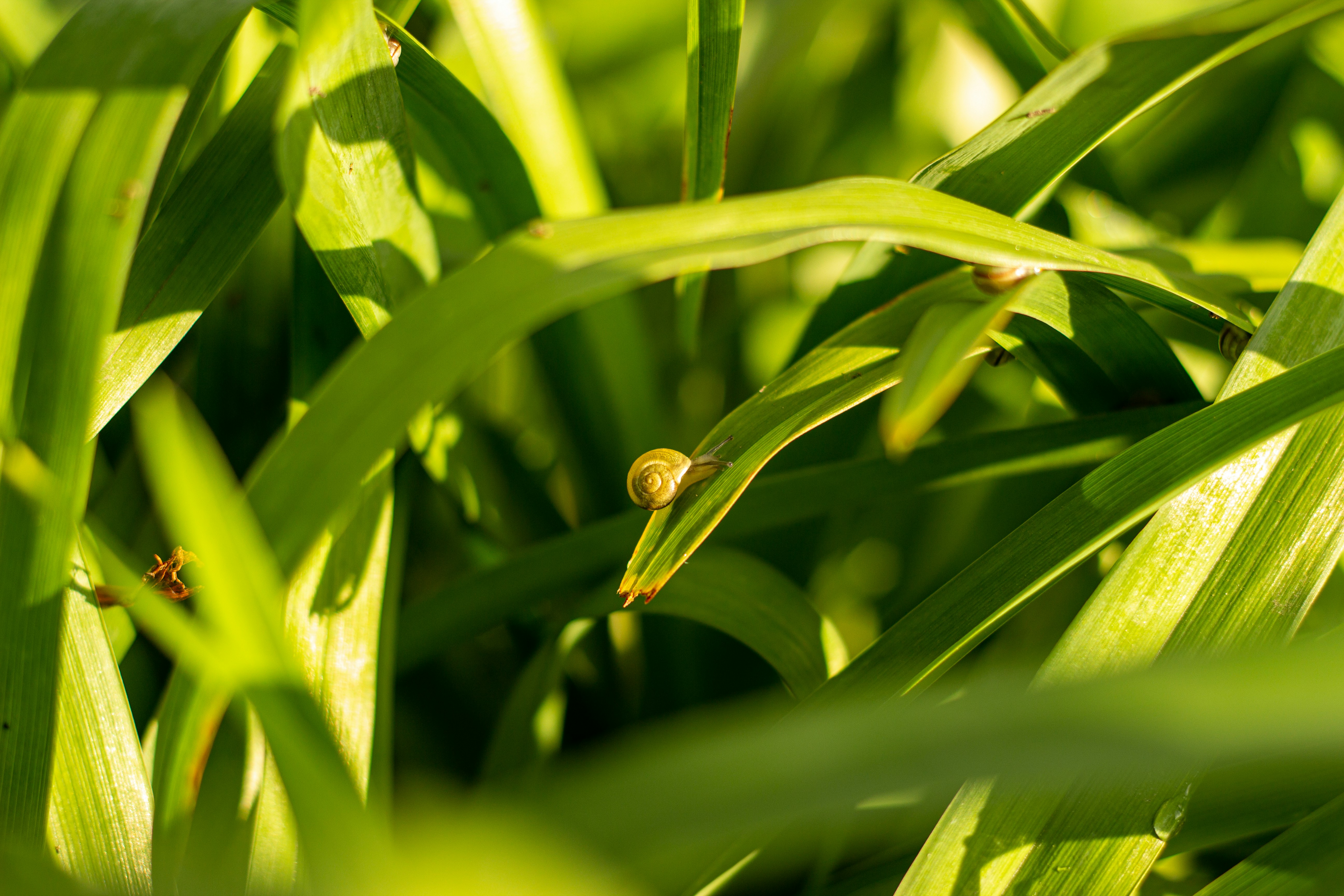 Photo by nocturnal_corvus