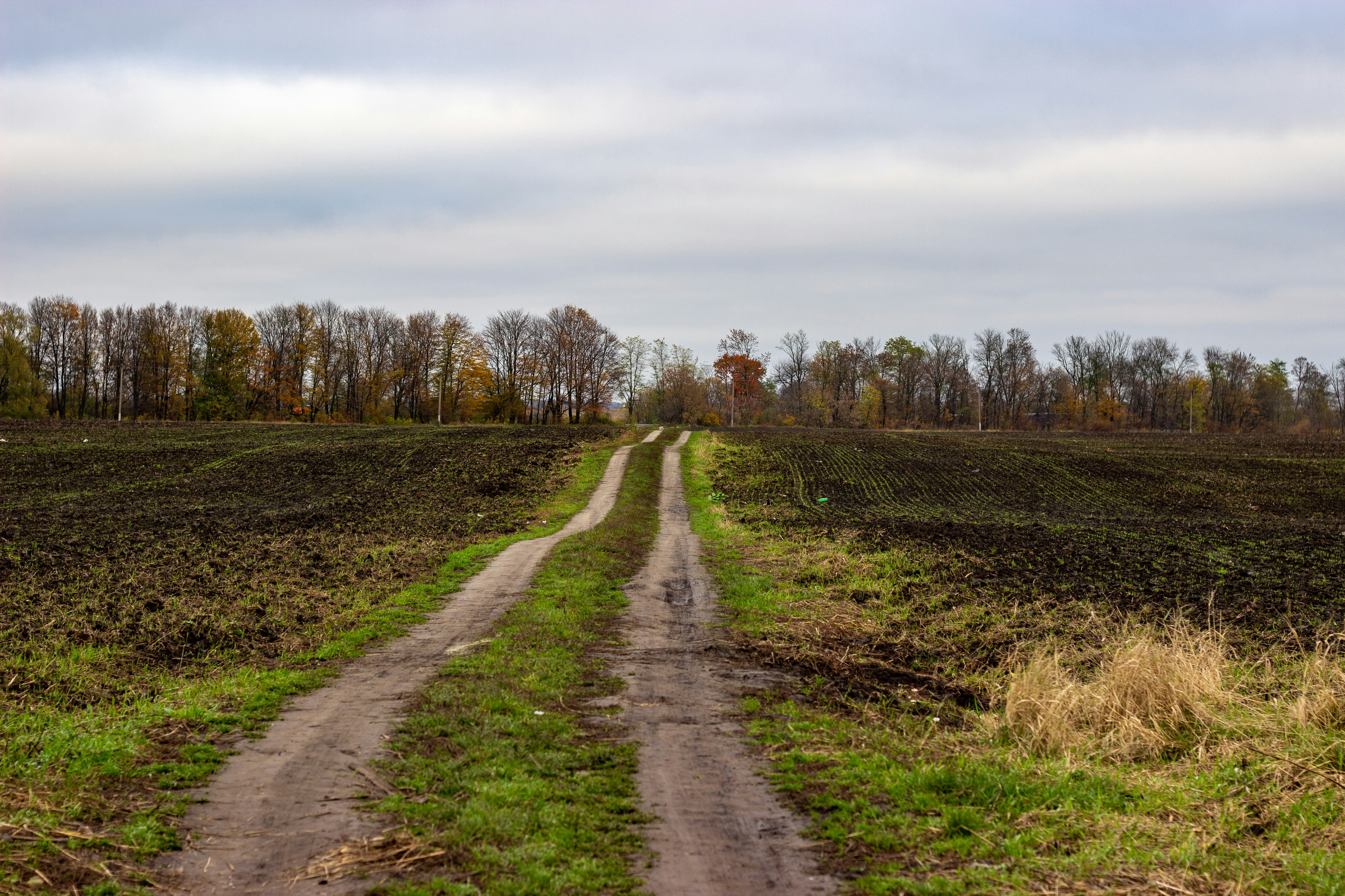 Photo by nocturnal_corvus