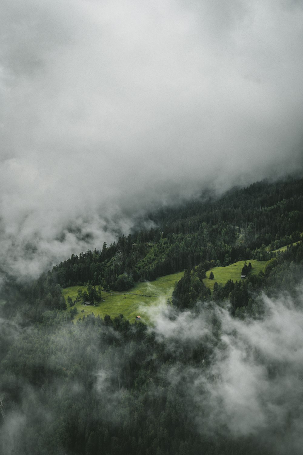 a mountain covered in clouds and trees