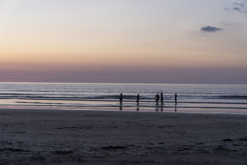 Vallensbæk Strand