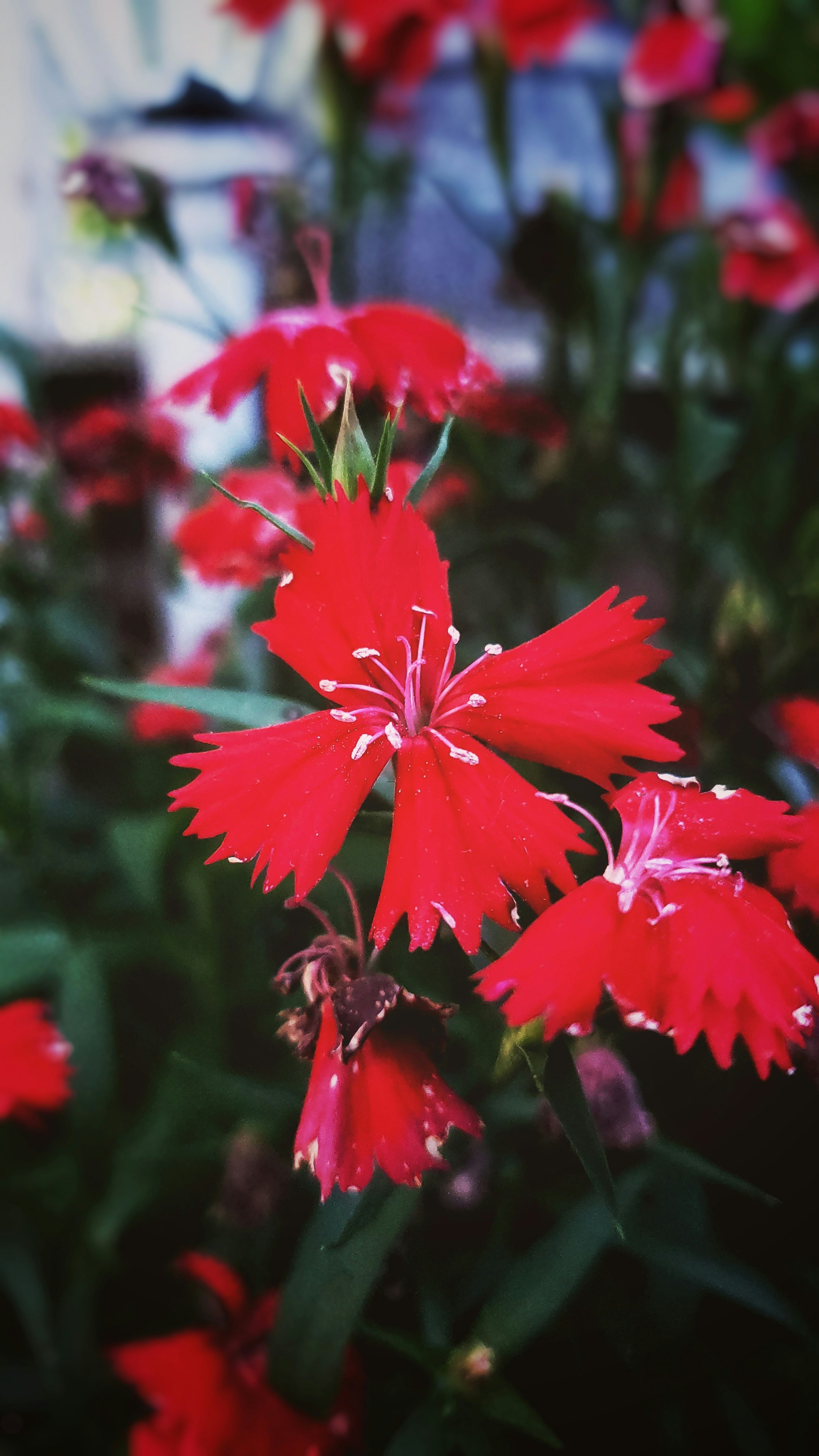 Photo by juniorlj